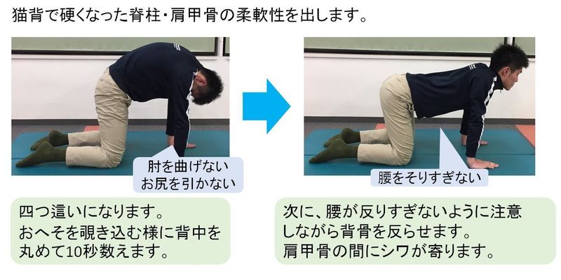 子どもの姿勢について 上田整形外科内科