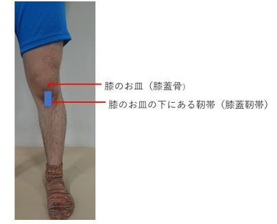 ジャンパー膝 上田整形外科内科